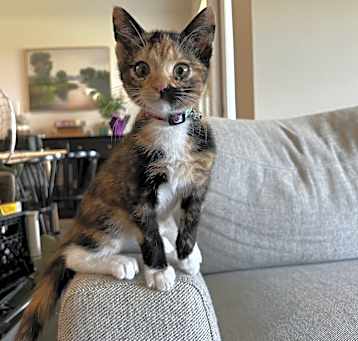 Photo of Penelope