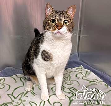 Photo of IVY