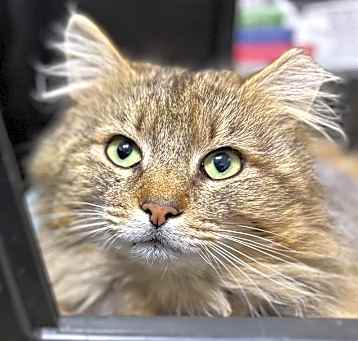 Photo of OTIS