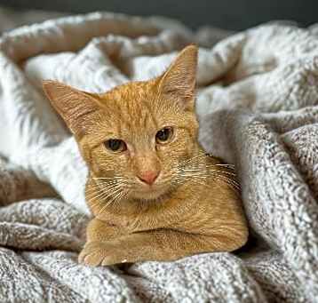 Photo of Jasmine