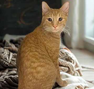 Photo of Abu