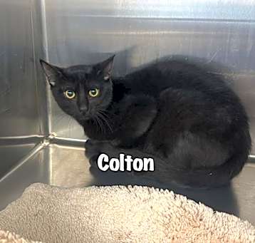 Photo of Colton