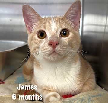 Photo of James