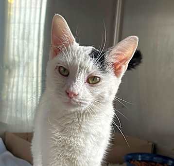 Photo of Moussaka NRAR