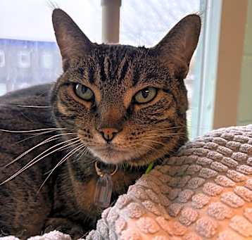 Photo of Zoe