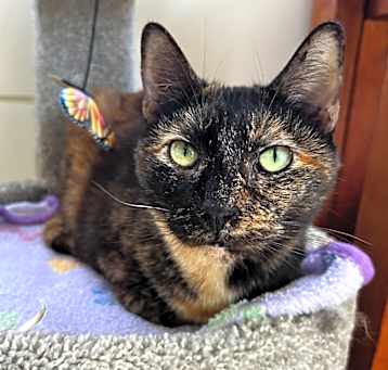 Photo of Empress
