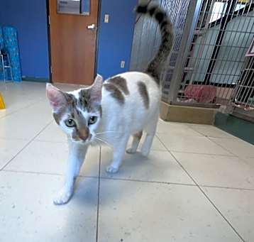 Photo of Emily Rose 