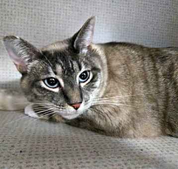Photo of Stormy