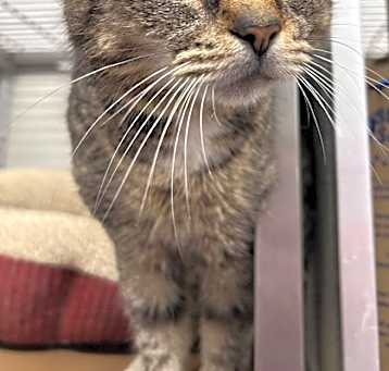 Photo of Seraphina