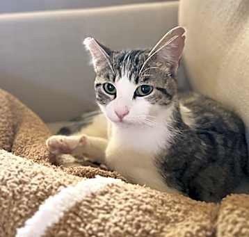 Photo of Spara