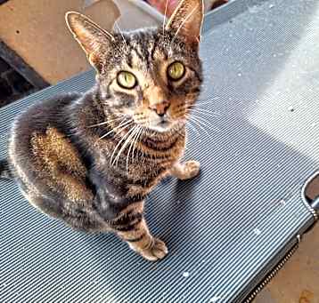 Photo of Storm