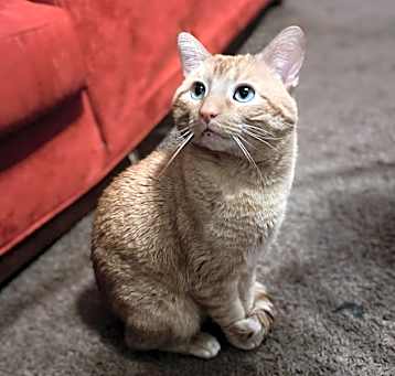 Photo of Michi