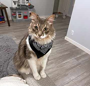 Photo of Gus