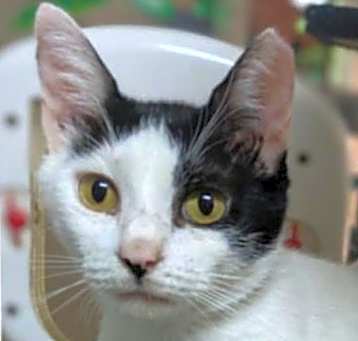 Photo of Martina