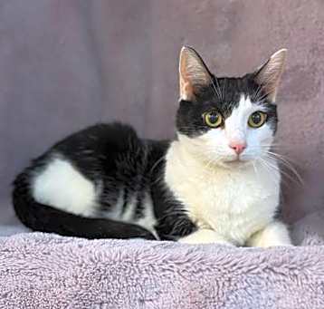 Photo of Lucky