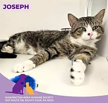 Photo of Joseph