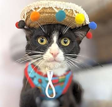 Photo of MUMBLE