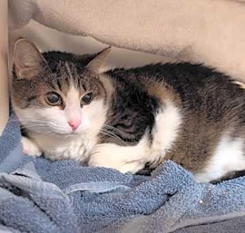 Photo of Heidi
