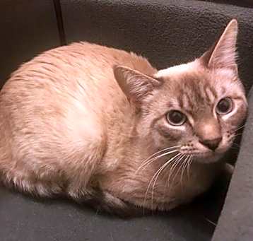 Photo of Louie