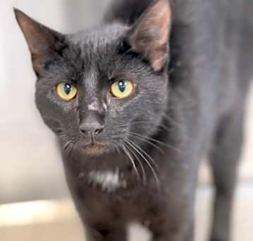 Photo of Wednesday