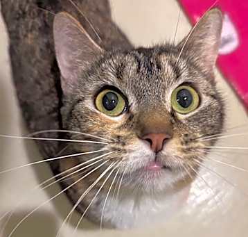 Photo of Franny 