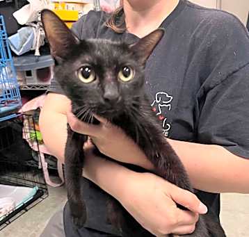 Photo of Jiji
