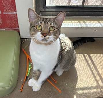Photo of Kiki