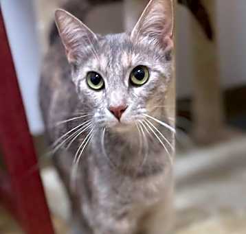 Photo of Izzy
