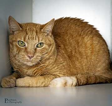 Photo of Sammy