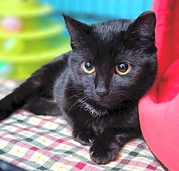 Photo of Brunhilda