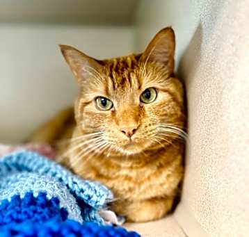 Photo of Oskar