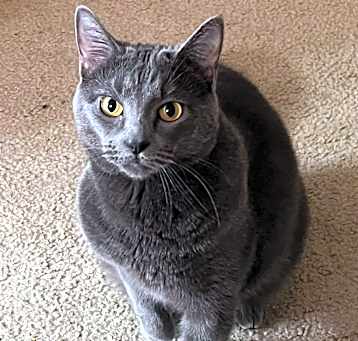 Photo of Moody