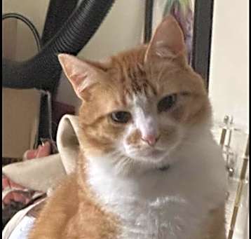 Photo of Lilly