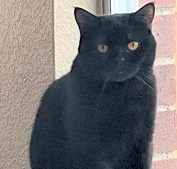 Photo of Bonnie Blue