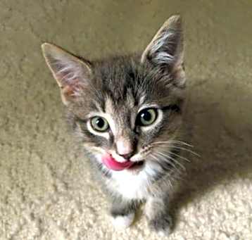 Photo of Sterling