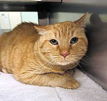 Photo of GUS