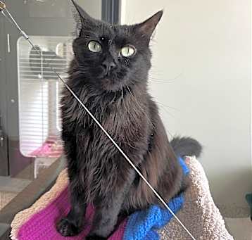 Photo of Sundance