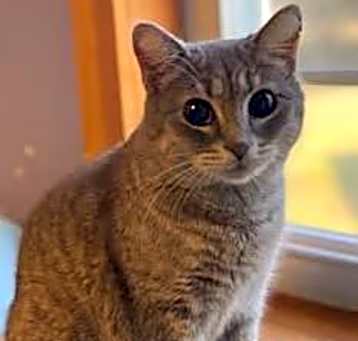 Photo of Prissy