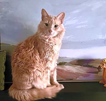 Photo of Einstein