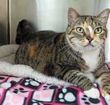 Photo of Keeta