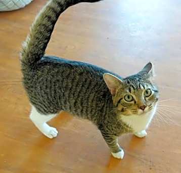 Photo of Sebastian