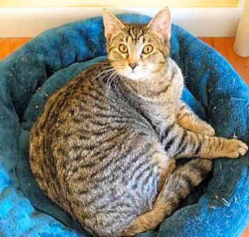 Photo of Oliver