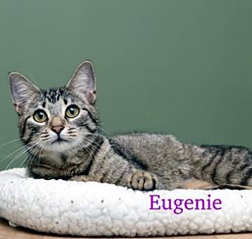 Photo of Eugenie