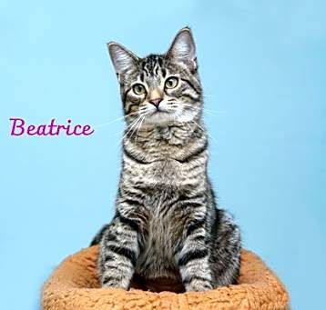 Photo of Beatrice