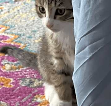 Photo of Cumulus