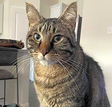 Photo of Leo