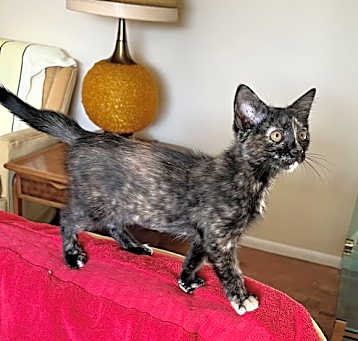 Photo of Katrina