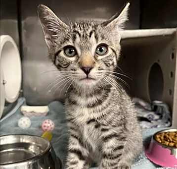 Photo of *STORMY