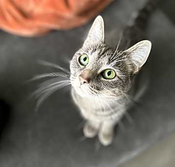Photo of Nezy