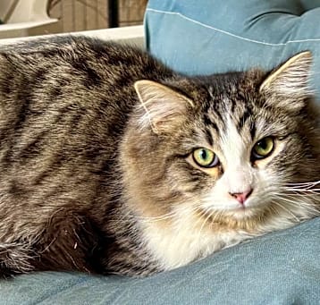 Photo of Sterling